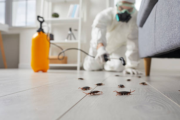 Commercial Kitchen Cockroach Control in Big Coppitt Key